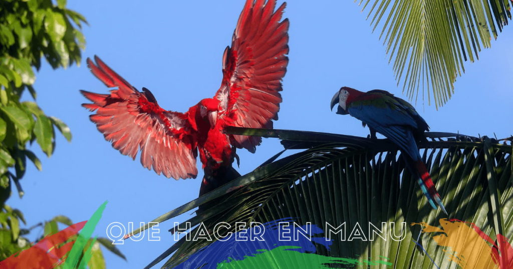 que-hacer-en-manu