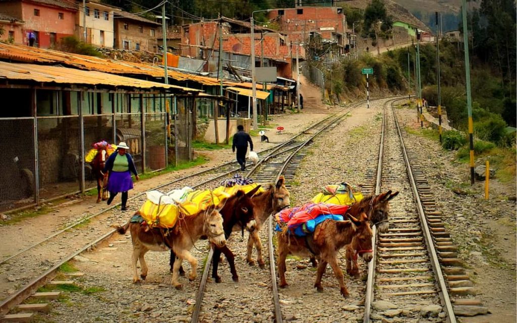 Piscacucho-Ollantaytambo