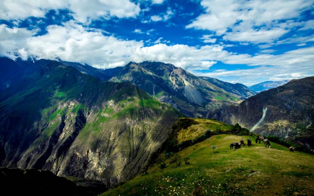 Kapuliyoc