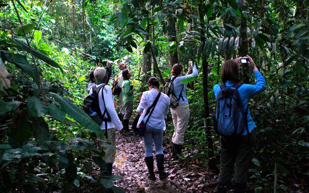 Reserva-Nacional-de-Tambopata
