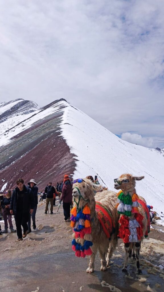 CUSCO PURA VIDA 6 DÍAS