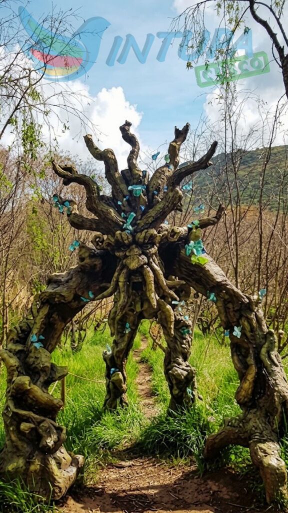TOUR MORADA DE LOS DIOSES 1 DÍA – TOUR MÍSTICO CON VALLE DE LOS DUENDES Y BOSQUE DE LOS ENTS DESDE CUSCO